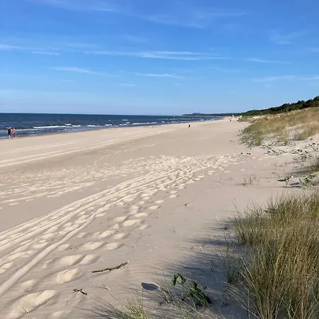 Gluecklich Am - Ruhe Im Kiefernwald Mit Terrasse & Hund Willkommen Tatil Evi Trassenheide