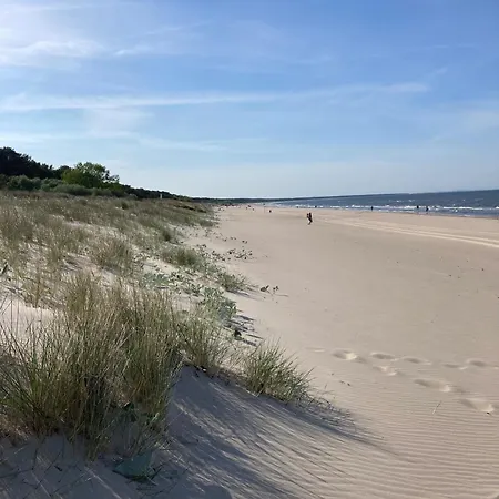 Gluecklich Am - Ruhe Im Kiefernwald Mit Terrasse & Hund Willkommen