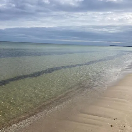 Gluecklich Am - Ruhe Im Kiefernwald Mit Terrasse & Hund Willkommen تراسينهيد