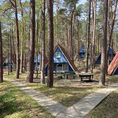 Gluecklich Am - Ruhe Im Kiefernwald Mit Terrasse & Hund Willkommen Tatil Evi