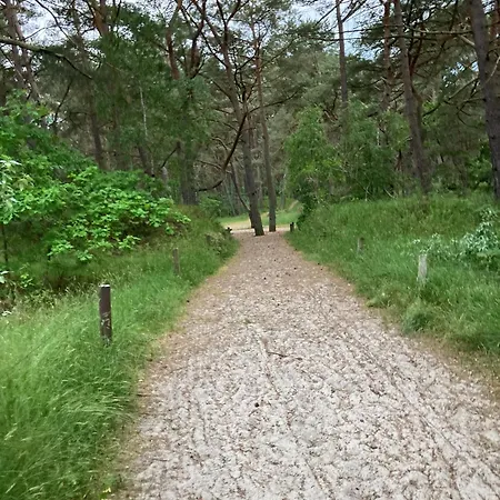 Gluecklich Am - Ruhe Im Kiefernwald Mit Terrasse & Hund Willkommen بيت للعطل