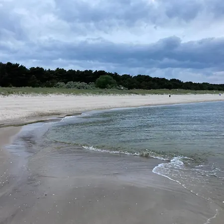 Gluecklich Am - Ruhe Im Kiefernwald Mit Terrasse & Hund Willkommen تراسينهيد