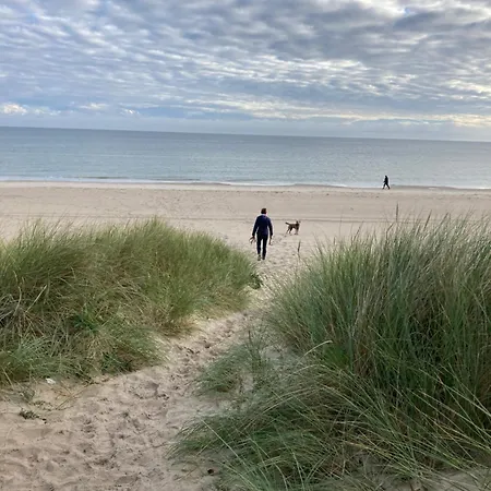 Gluecklich Am - Ruhe Im Kiefernwald Mit Terrasse & Hund Willkommen * Trassenheide