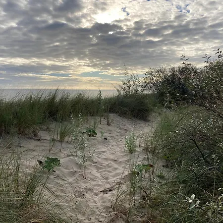 Gluecklich Am - Ruhe Im Kiefernwald Mit Terrasse & Hund Willkommen بيت للعطل
