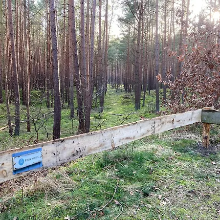 بيت للعطل Gluecklich Am - Ruhe Im Kiefernwald Mit Terrasse & Hund Willkommen تراسينهيد