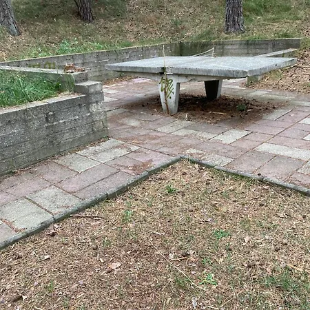 Gluecklich Am - Ruhe Im Kiefernwald Mit Terrasse & Hund Willkommen Trassenheide