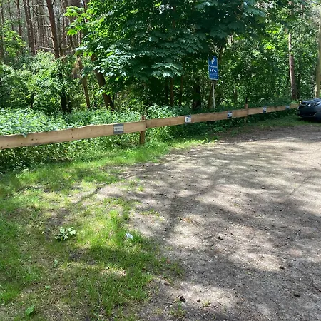 Finndorf Am Mit Hund
