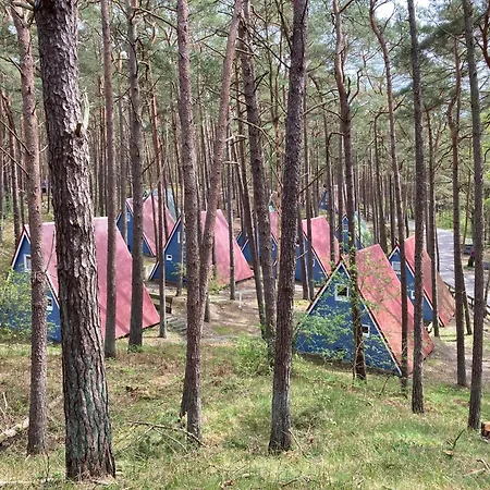 بيت للعطل Gluecklich Am - Ruhe Im Kiefernwald Mit Terrasse & Hund Willkommen