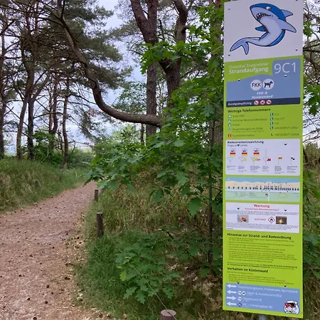 بيت للعطل Gluecklich Am - Ruhe Im Kiefernwald Mit Terrasse & Hund Willkommen *
