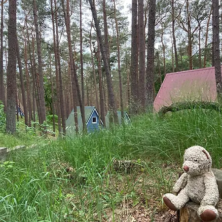 Gluecklich Am - Ruhe Im Kiefernwald Mit Terrasse & Hund Willkommen بيت للعطل تراسينهيد