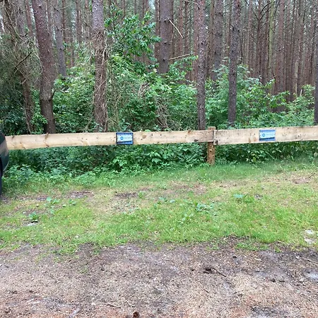 Gluecklich Am - Ruhe Im Kiefernwald Mit Terrasse & Hund Willkommen