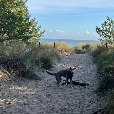 Gluecklich Am - Ruhe Im Kiefernwald Mit Terrasse & Hund Willkommen