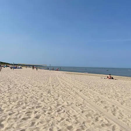 Gluecklich Am - Ruhe Im Kiefernwald Mit Terrasse & Hund Willkommen