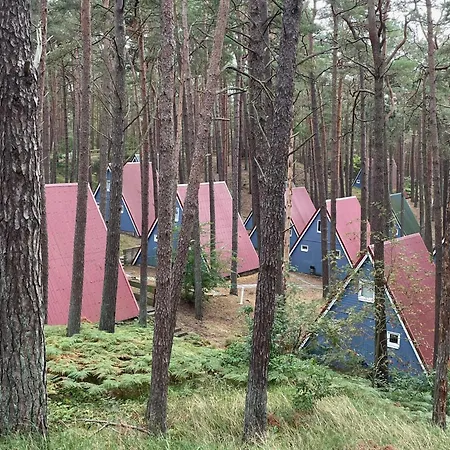 Gluecklich Am - Ruhe Im Kiefernwald Mit Terrasse & Hund Willkommen Tatil Evi Trassenheide