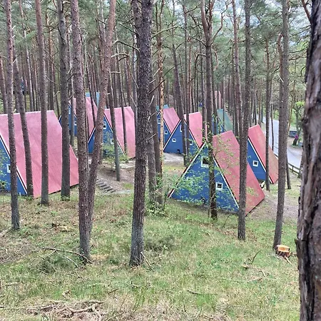 Tatil Evi Gluecklich Am - Ruhe Im Kiefernwald Mit Terrasse & Hund Willkommen Trassenheide