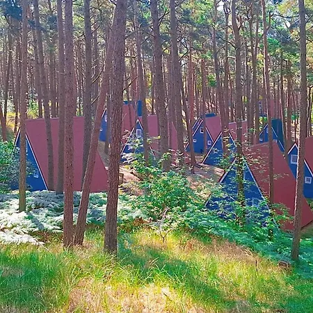 Tatil Evi Gluecklich Am - Ruhe Im Kiefernwald Mit Terrasse & Hund Willkommen